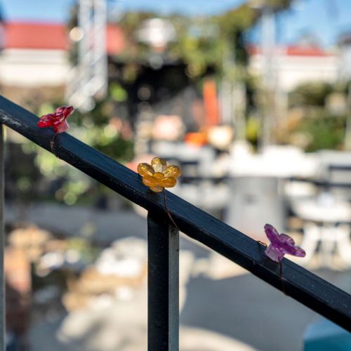 Colorful courtyard views—pure NOLA vibes